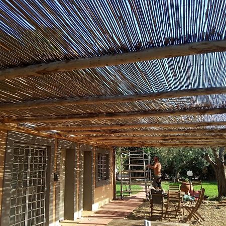 Borgo S.Maria Di Vulci Vendégház Montalto di Castro Kültér fotó