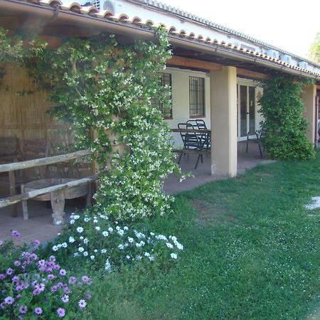 Borgo S.Maria Di Vulci Vendégház Montalto di Castro Kültér fotó