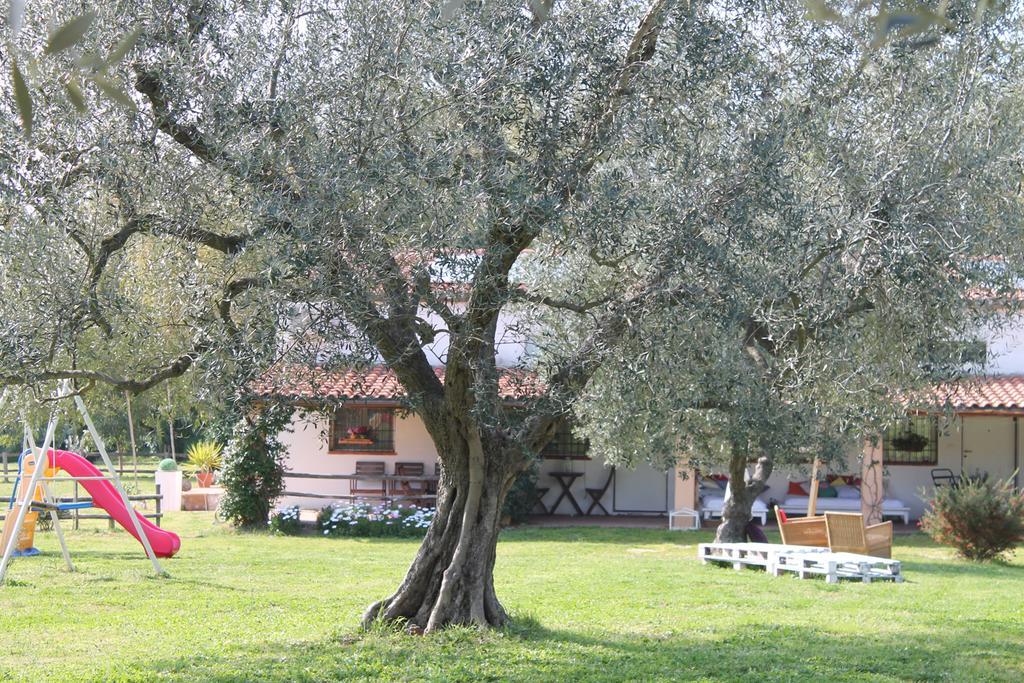 Borgo S.Maria Di Vulci Vendégház Montalto di Castro Kültér fotó
