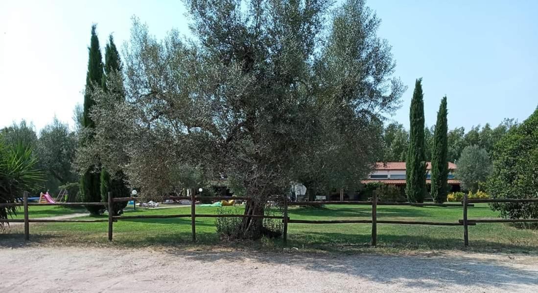 Borgo S.Maria Di Vulci Vendégház Montalto di Castro Kültér fotó